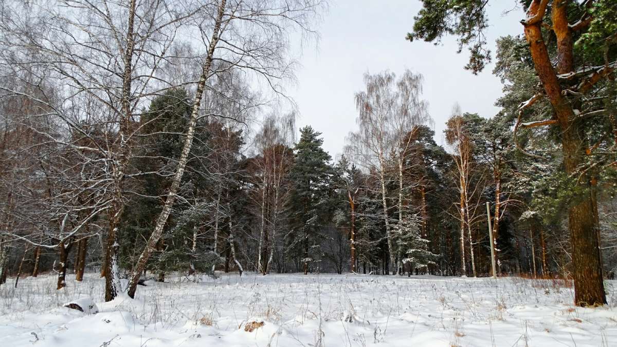 ������ �������. ����� �������� �������� �� PhotoGeek.ru #������ ��� �������
