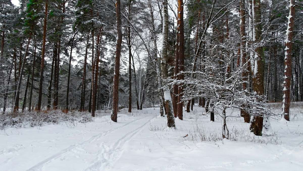 ��� ����. ����� �������� �������� �� PhotoGeek.ru #������ ��� �������