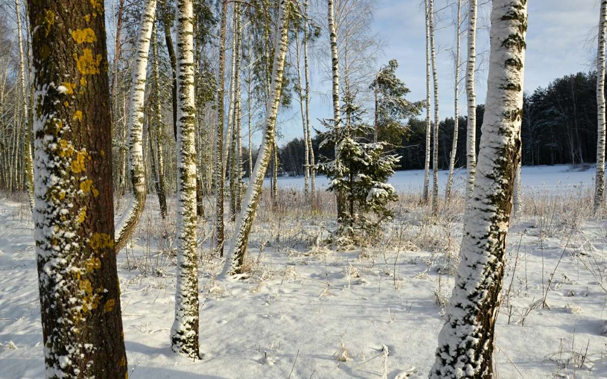 ��� ����. ����� �������� �������� �� PhotoGeek.ru #������ ��� �������