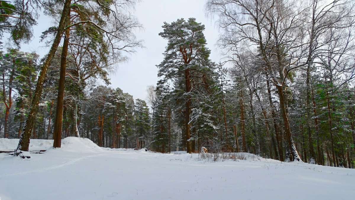 ��� ����. ����� �������� �������� �� PhotoGeek.ru #������ ��� �������