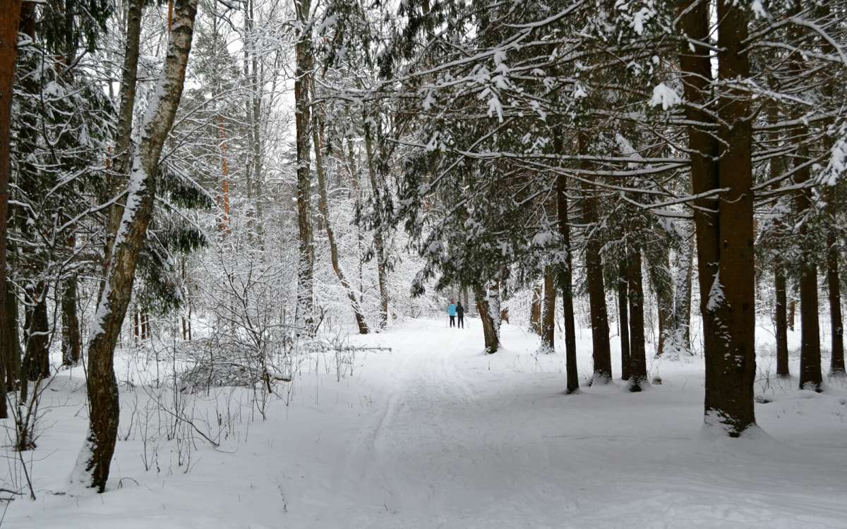 ������� ����������. ����� �������� �������� �� PhotoGeek.ru #������ ��� �������