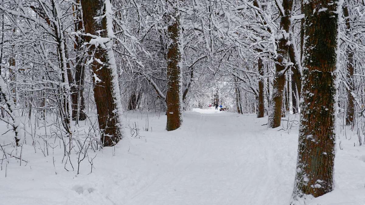 ���� � ��������� �����. ����� �������� �������� �� PhotoGeek.ru #����� #������ ��� �������