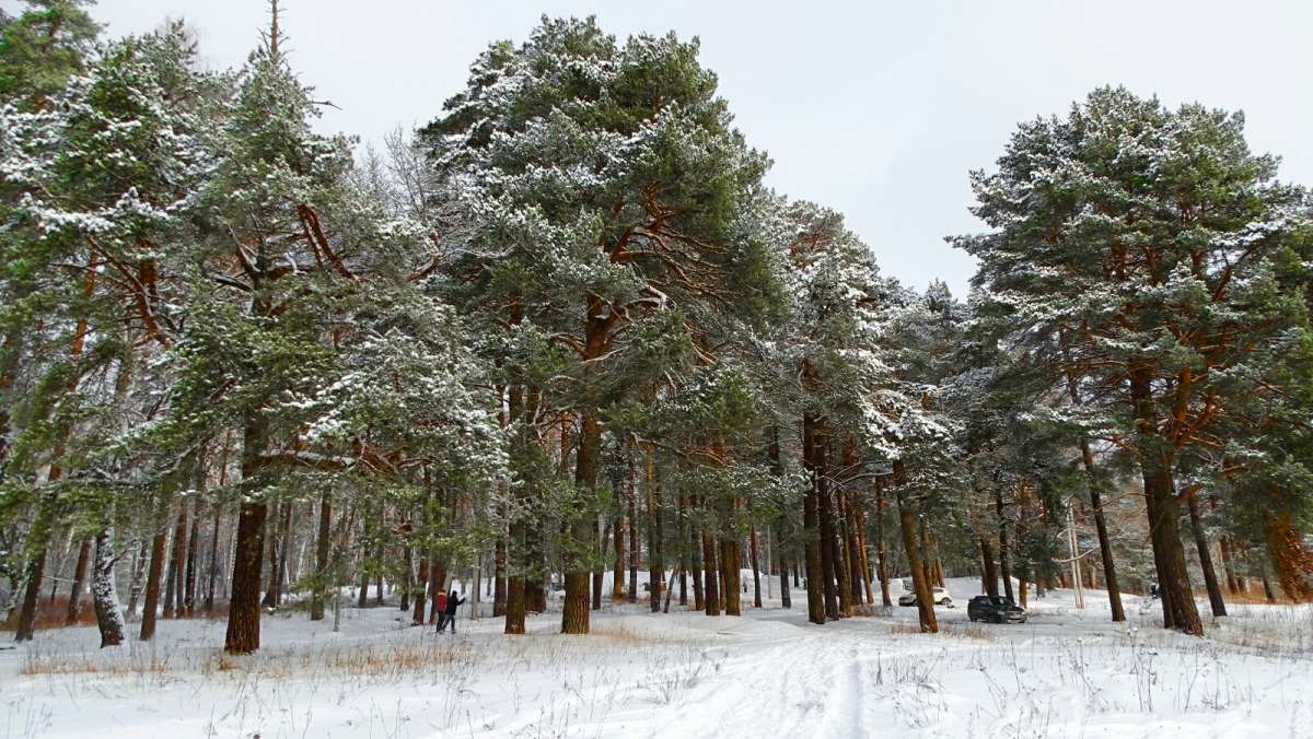 ���� � �������� ����. ����� �������� �������� �� PhotoGeek.ru #������ ��� �������