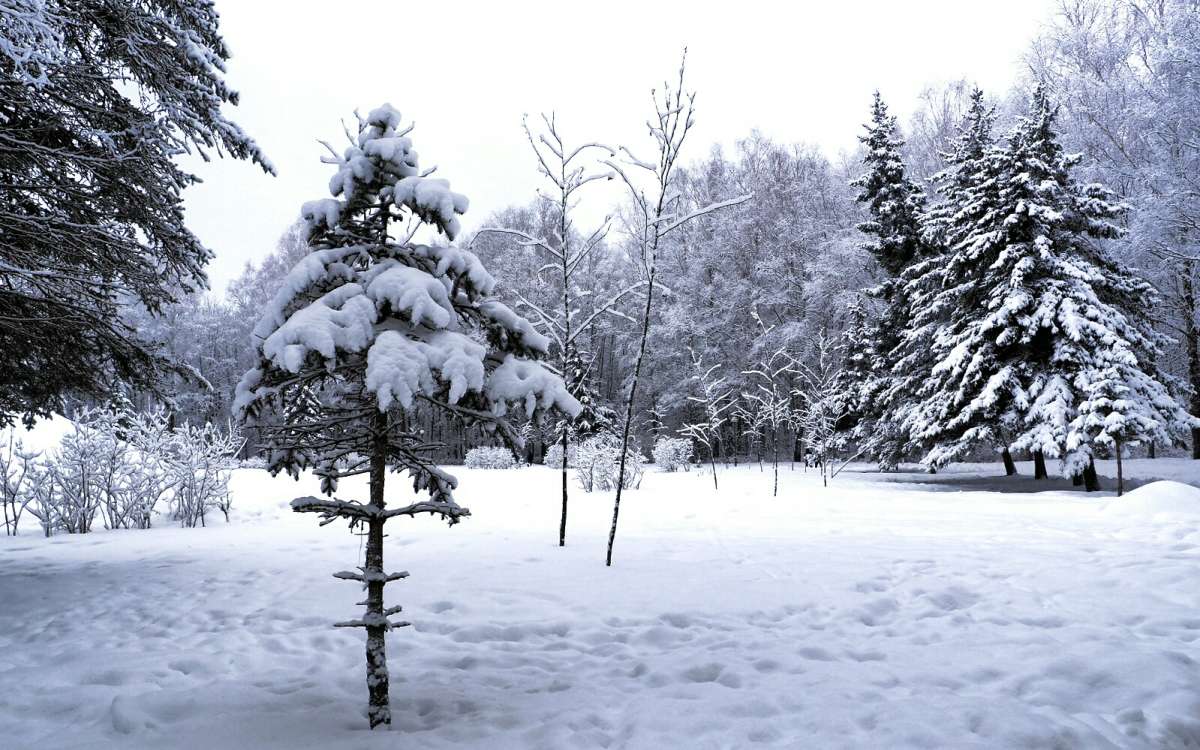 ������ ����. ����� �������� �������� �� PhotoGeek.ru #����� #������ ��� �������