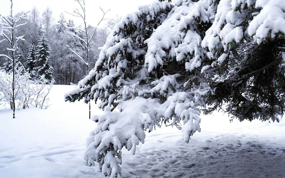 �������� ����. ����� �������� �������� �� PhotoGeek.ru #����� #������ ��� �������