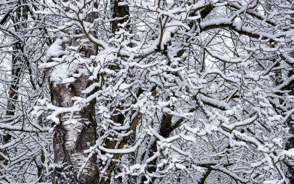 ��������� "�������" ����. ����� �������� �������� �� PhotoGeek.ru #����� #�����