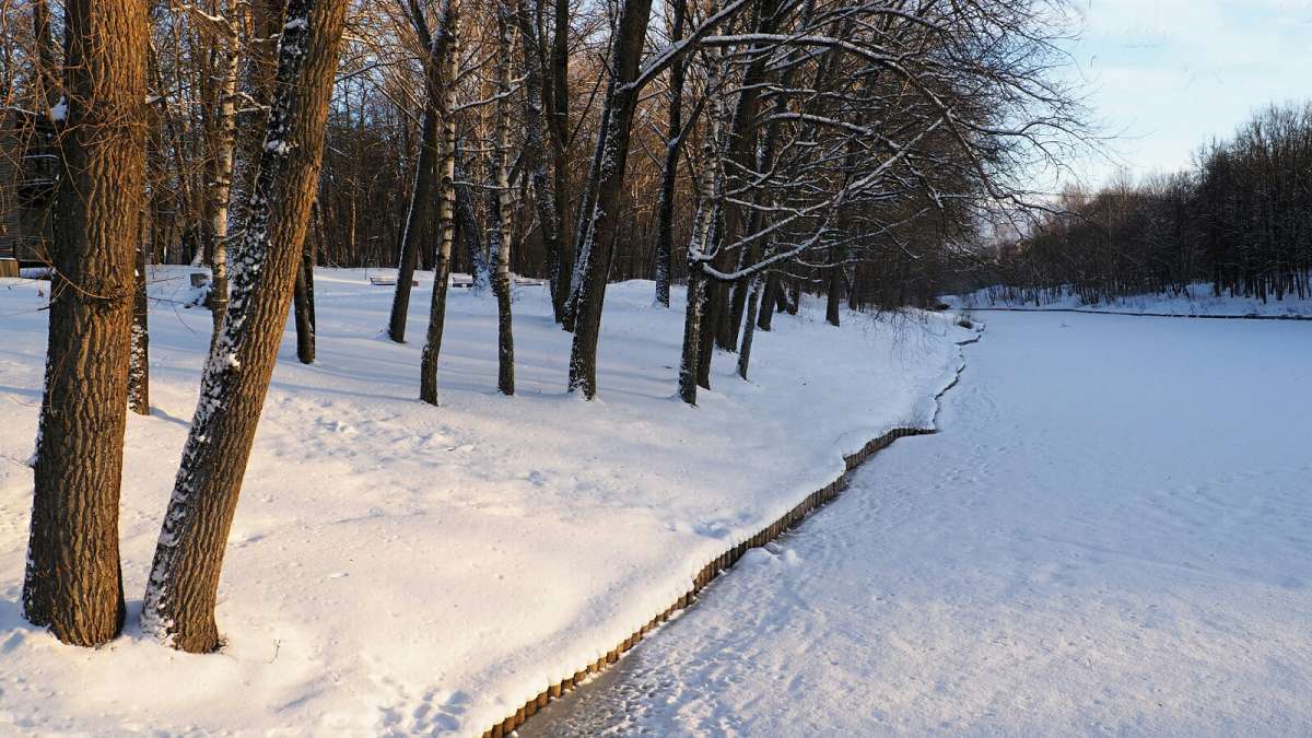 ������ ������ �������. ����� �������� �������� �� PhotoGeek.ru #����� #������ ��� �������