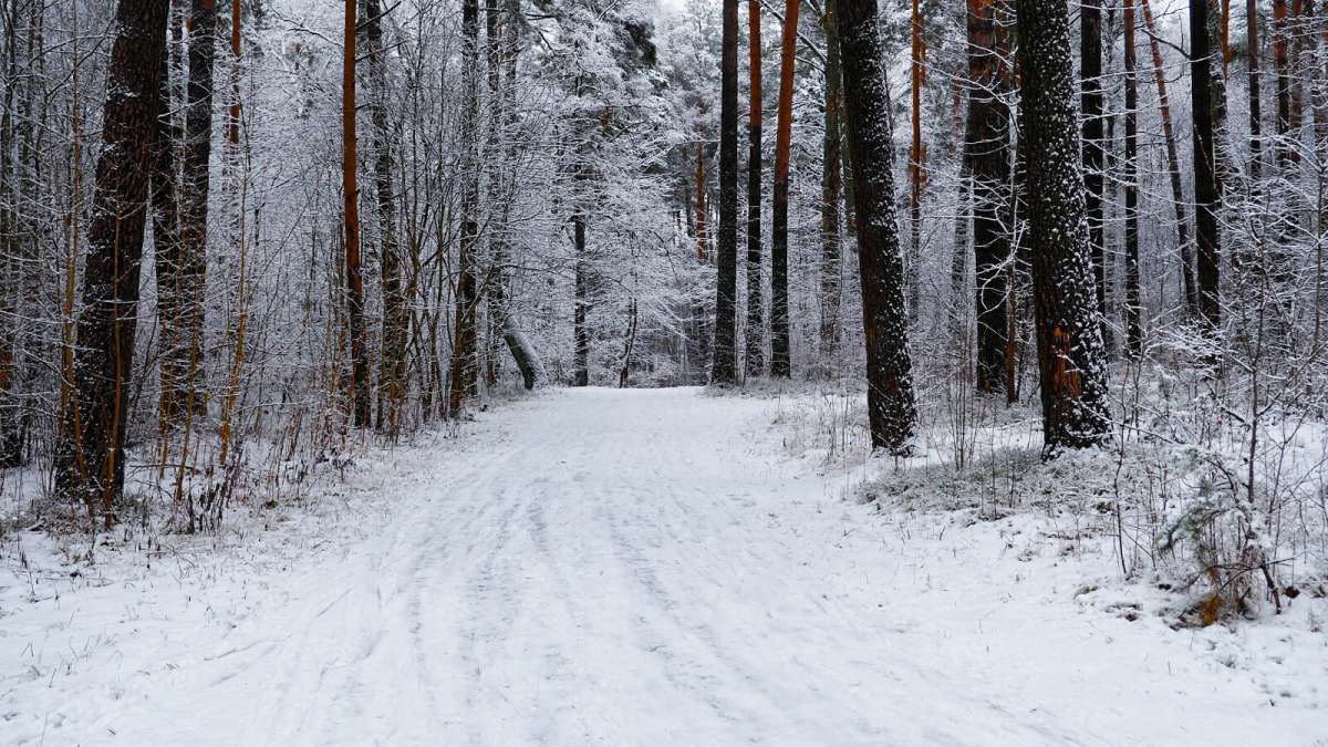 ������ � �������� ����. ����� �������� �������� �� PhotoGeek.ru #������ ��� �������