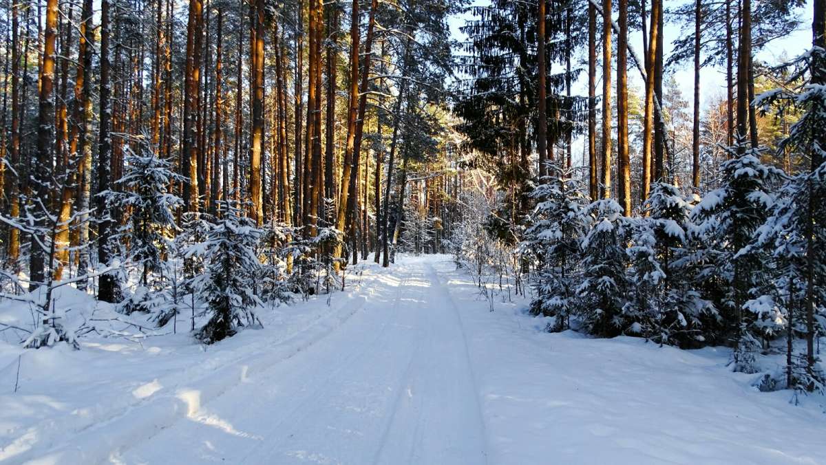 ������, ���� � �������. ����� �������� �������� �� PhotoGeek.ru #������ ��� �������