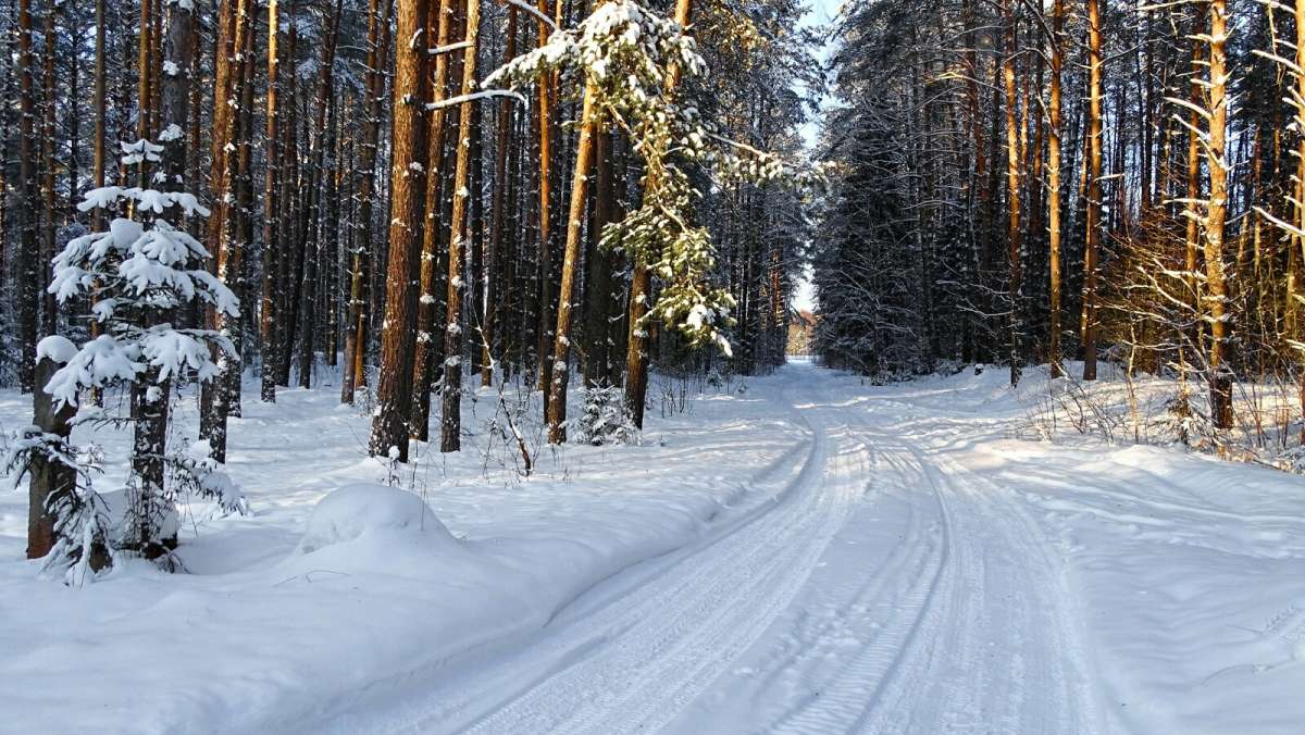����� � ������. ����� �������� �������� �� PhotoGeek.ru #������ ��� �������