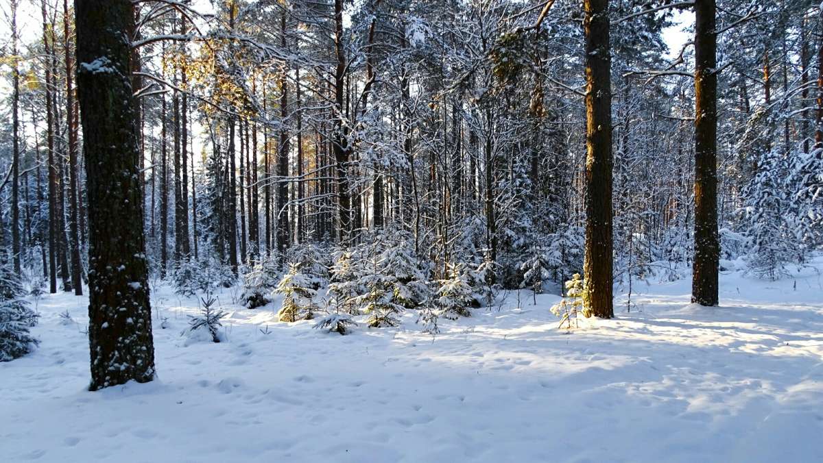 ������� ��� � ������. ����� �������� �������� �� PhotoGeek.ru #������ ��� �������
