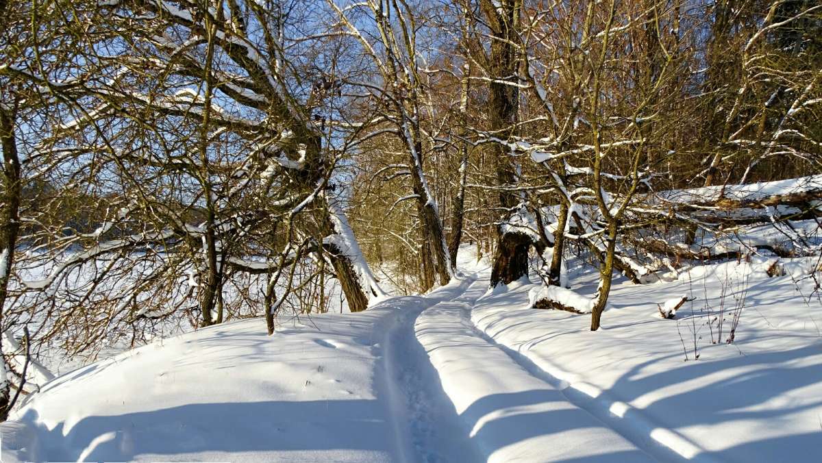 ������ ����������� ������. ����� �������� �������� �� PhotoGeek.ru #������ ��� �������