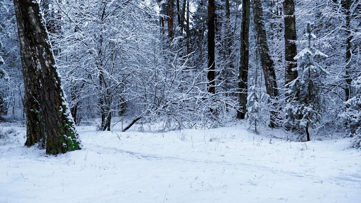 ���� � �������. ����� �������� �������� �� PhotoGeek.ru #������ ��� �������