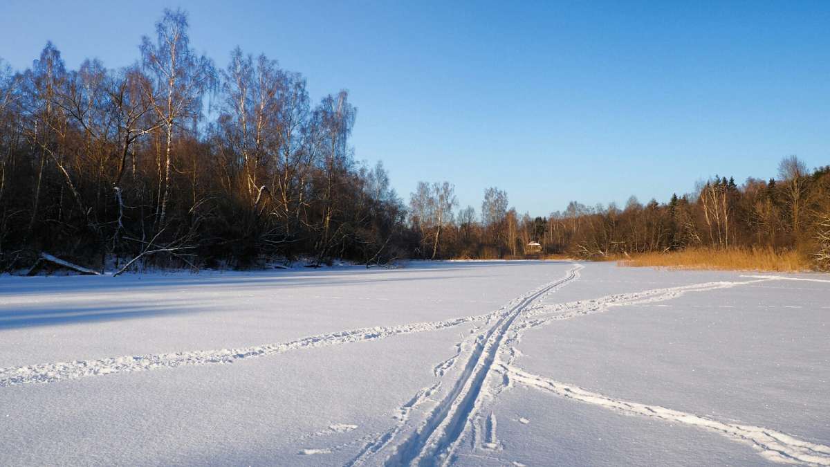 ������� � ���������. ����� �������� �������� �� PhotoGeek.ru #������ ��� �������