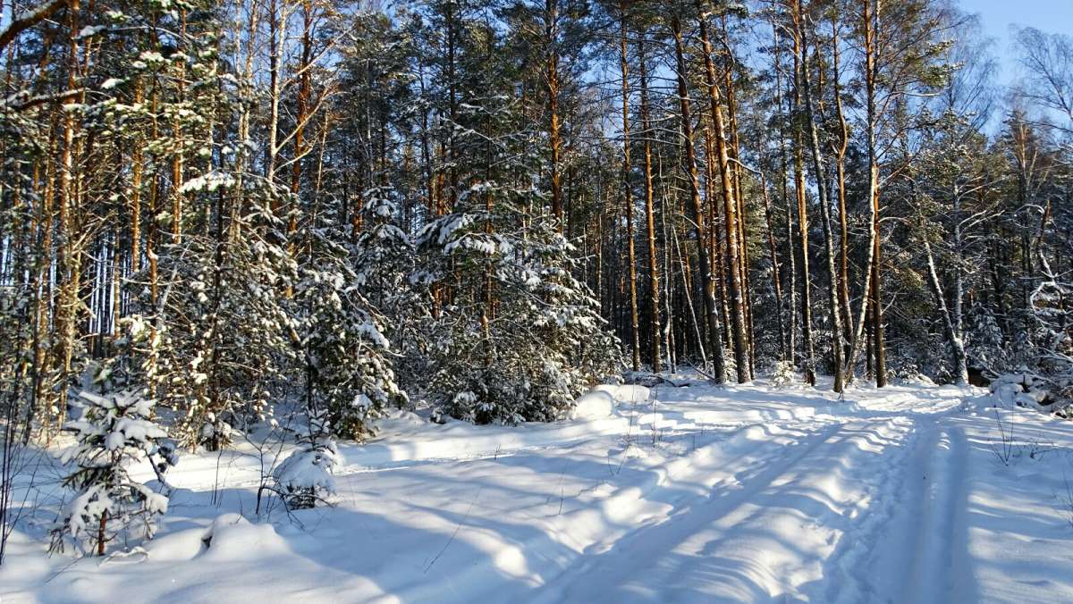 �� ��������� �������. ����� �������� �������� �� PhotoGeek.ru #������ ��� �������