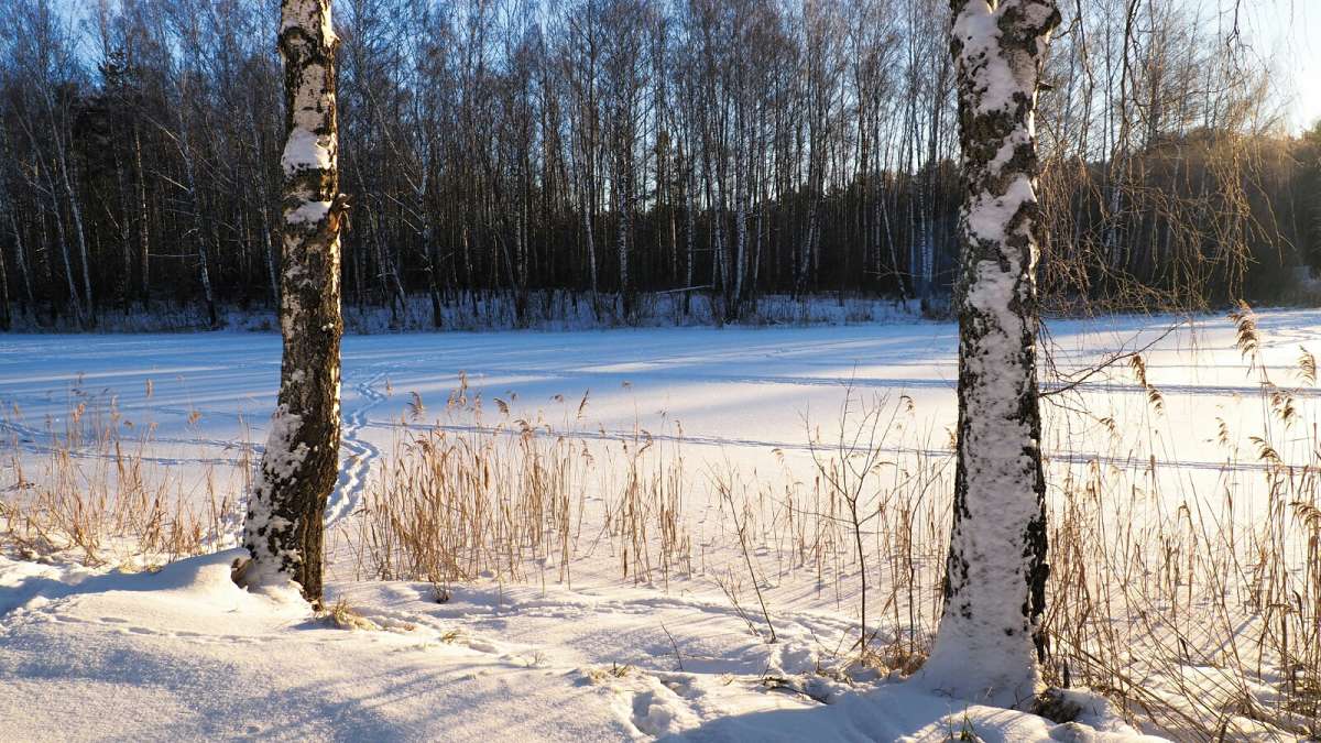 ������ ������, �� �� �����. ����� �������� �������� �� PhotoGeek.ru #������ ��� �������