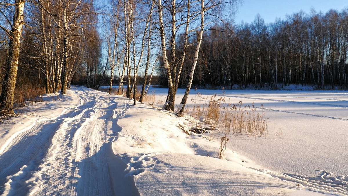 Зимний, деревенский пейзаж. / Зимний, деревенский пейзаж. / Фотография ...