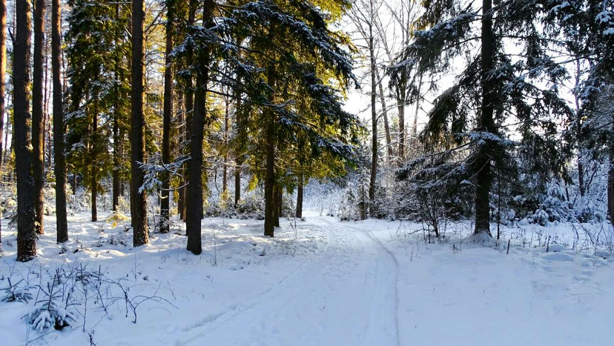 ������ � ��������� �������. ����� �������� �������� �� PhotoGeek.ru #������ ��� �������