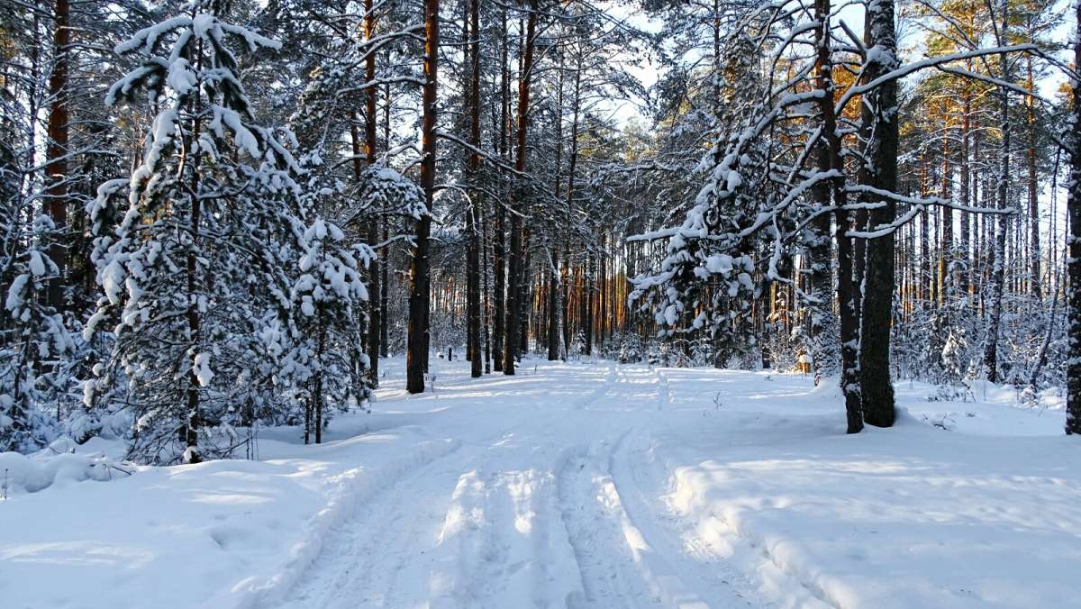 ��� ����, ����� �������� �������� �� PhotoGeek.ru #������ ��� �������