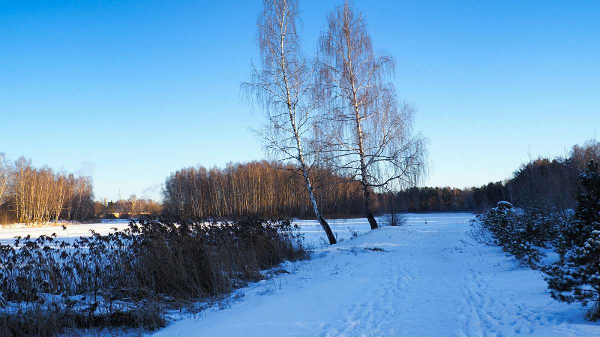������ ����������� ������. ����� �������� �������� �� PhotoGeek.ru #������ ��� �������