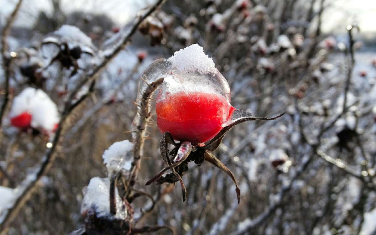 �������� ������. ����� �������� �������� �� PhotoGeek.ru #����� #������ ��� �������