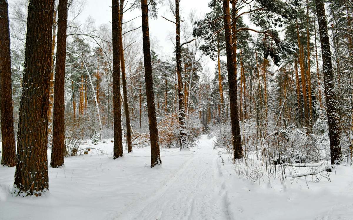 ��� ���� � ������. ����� �������� �������� �� PhotoGeek.ru #������ ��� �������
