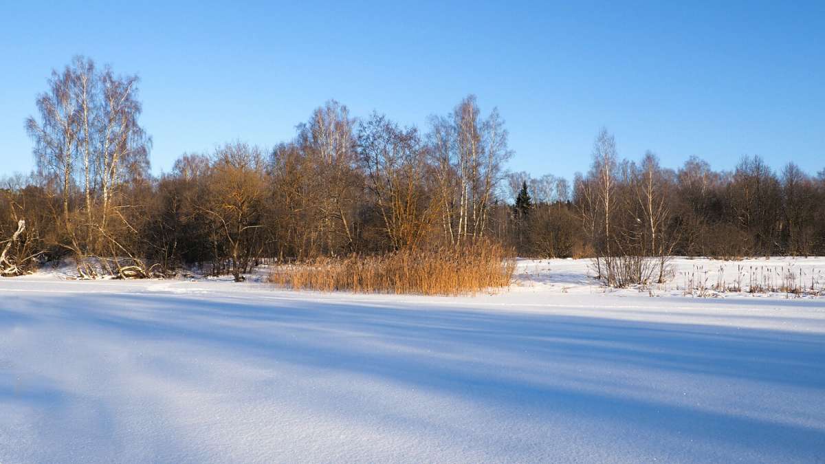������ ������. ����� �������� �������� �� PhotoGeek.ru #������ ��� �������