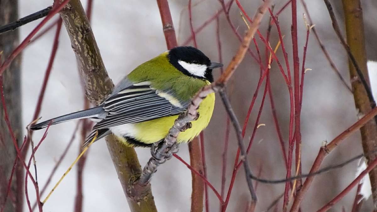 ������� ������. ����� �������� �������� �� PhotoGeek.ru #�������� ���