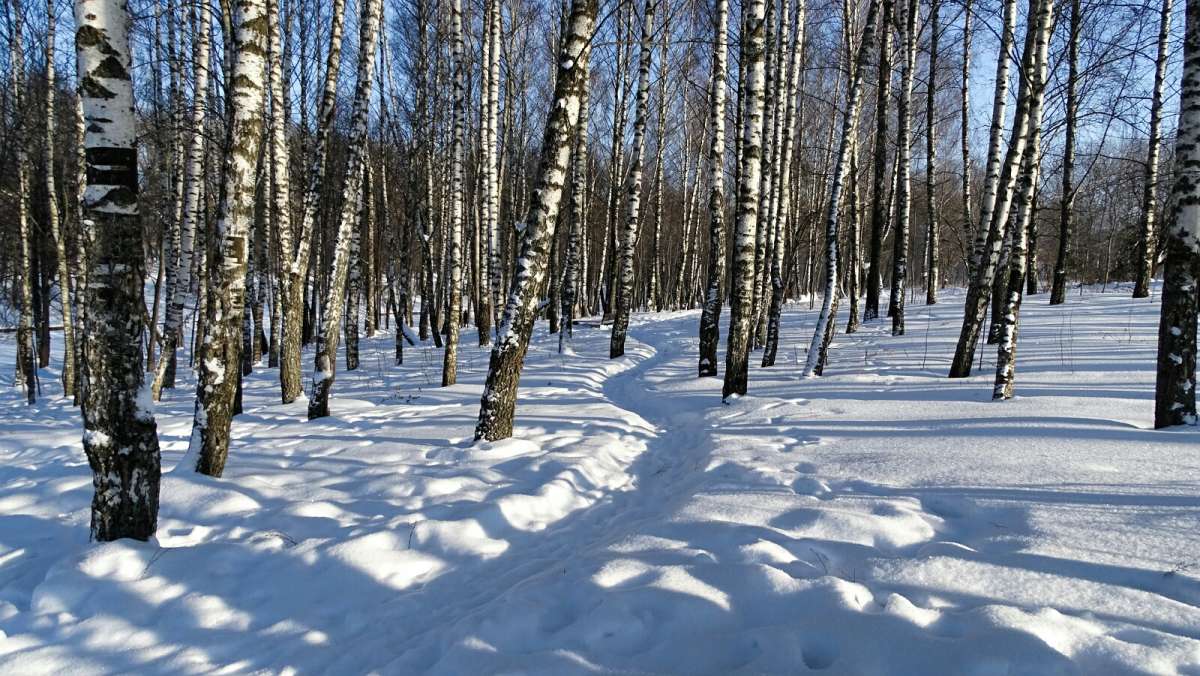 ����� ������� ���, ����� ����� ������! ����� �������� �������� �� PhotoGeek.ru #����� #������ ��� �������