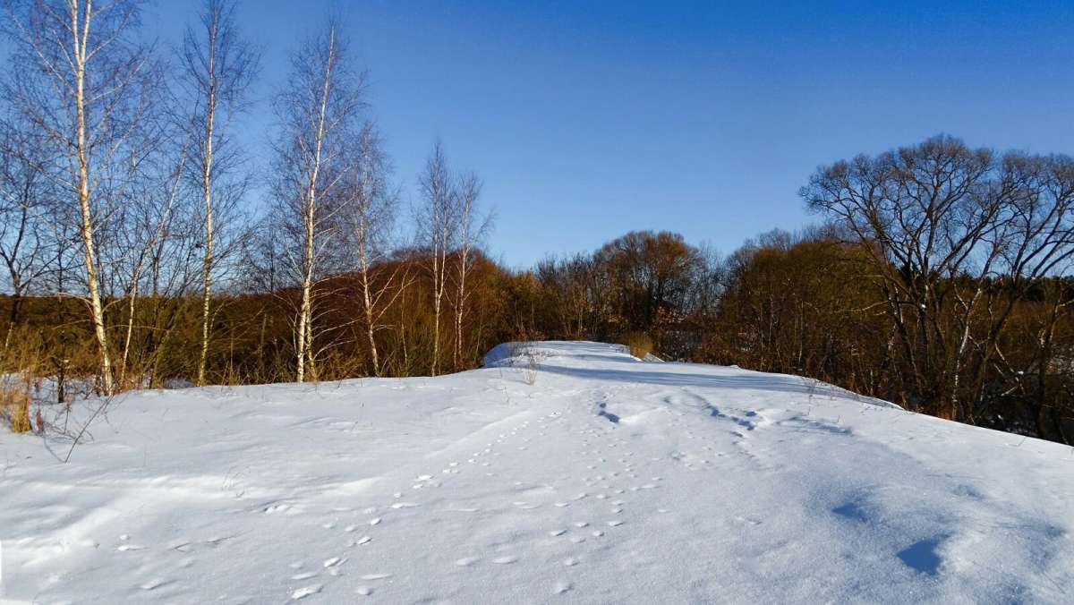 ����� �� ������� ���� ��������. ����� �������� �������� �� PhotoGeek.ru #������ ��� �������