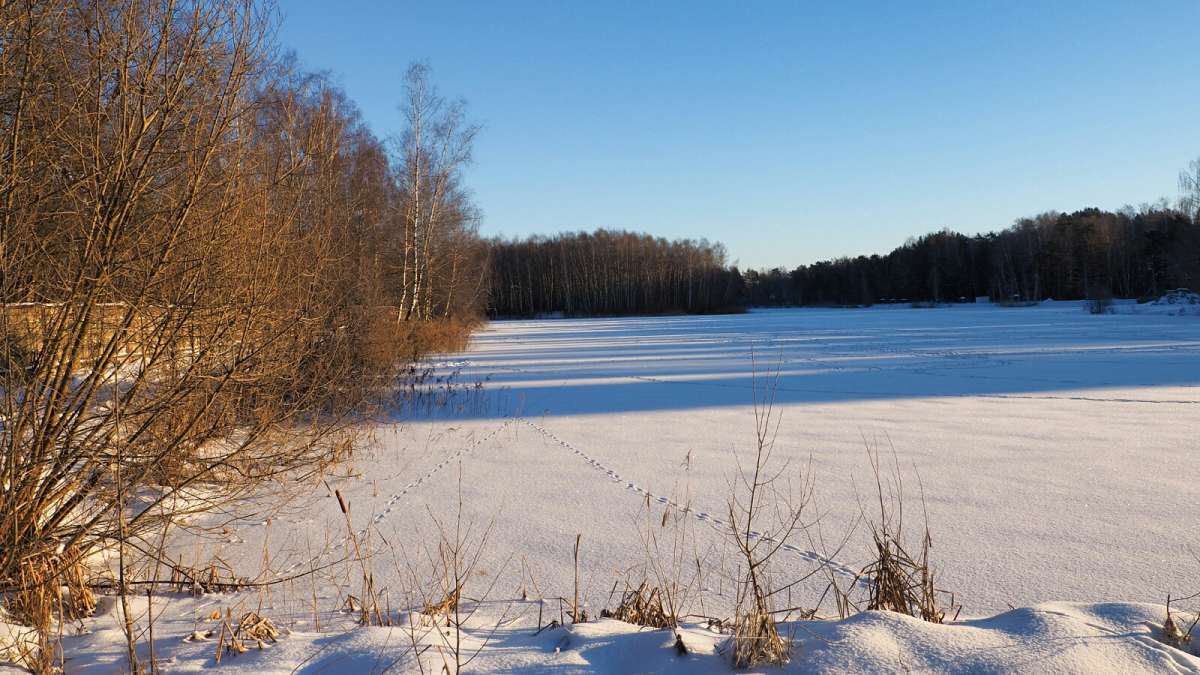 ������ ������. ����� �������� �������� �� PhotoGeek.ru #������ ��� �������