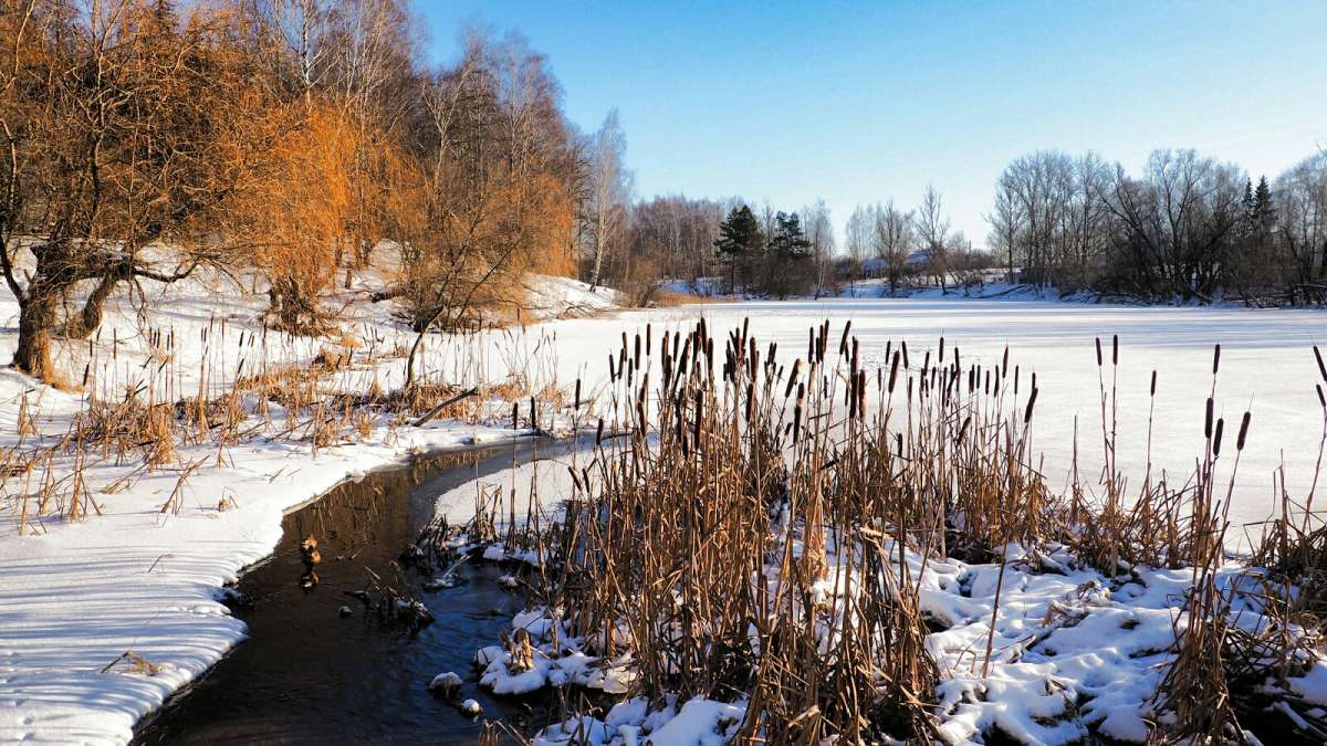 ���� - ������. ����� �������� �������� �� PhotoGeek.ru #������ ��� �������