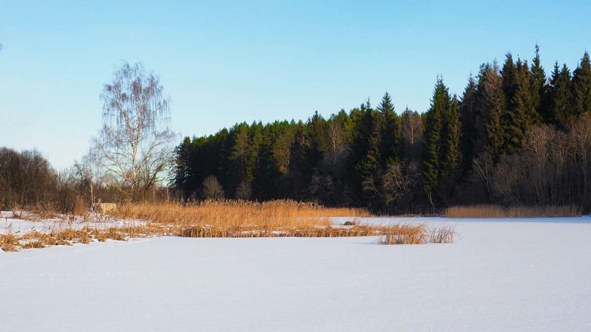 ������ ������. ����� �������� �������� �� PhotoGeek.ru #������ ��� �������