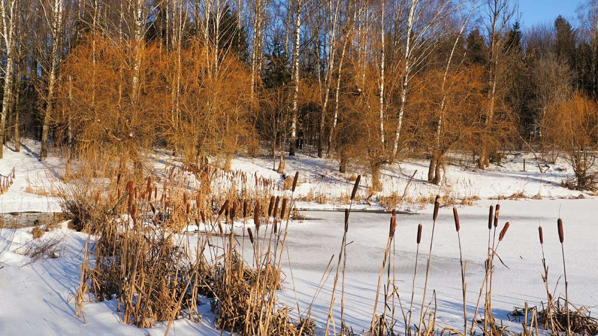 ���������� ����. ����� �������� �������� �� PhotoGeek.ru #������ ��� �������