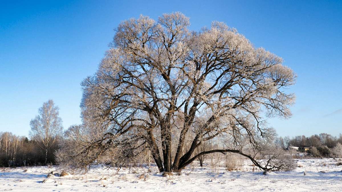 ������ - ����. ����� �������� �������� �� PhotoGeek.ru #������ ��� �������