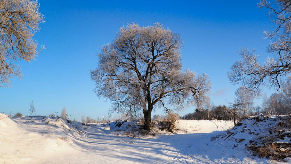 ��������� ����. ����� �������� �������� �� PhotoGeek.ru #������ ��� �������