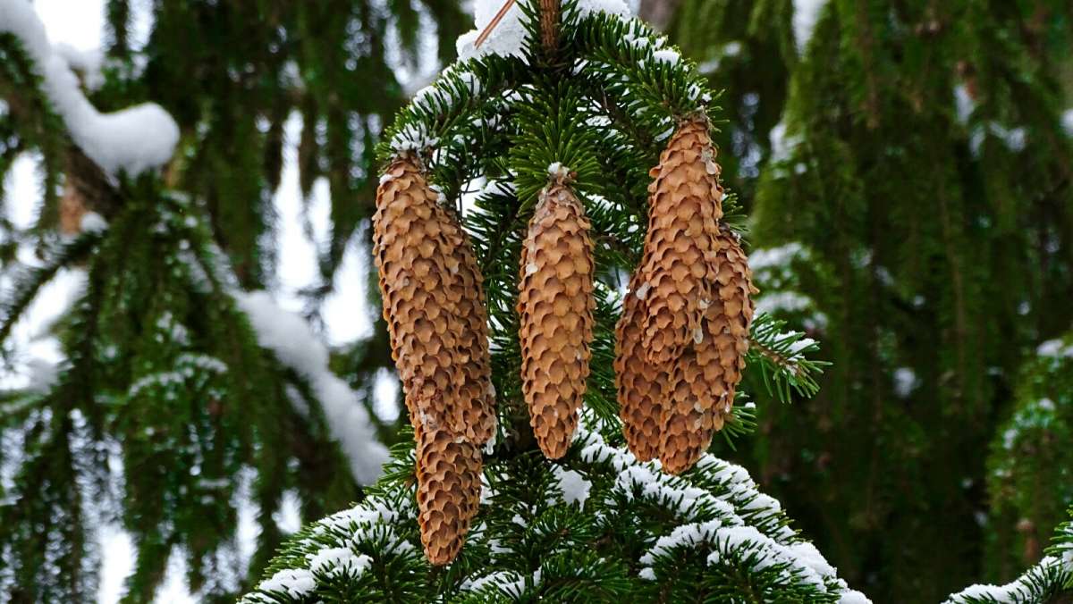 �������� ����. ����� �������� �������� �� PhotoGeek.ru #����� #������ ��� �������