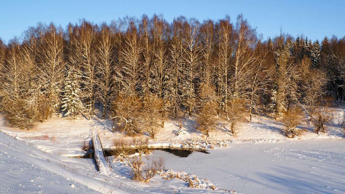 ���� - ������. ����� �������� �������� �� PhotoGeek.ru #������ ��� �������