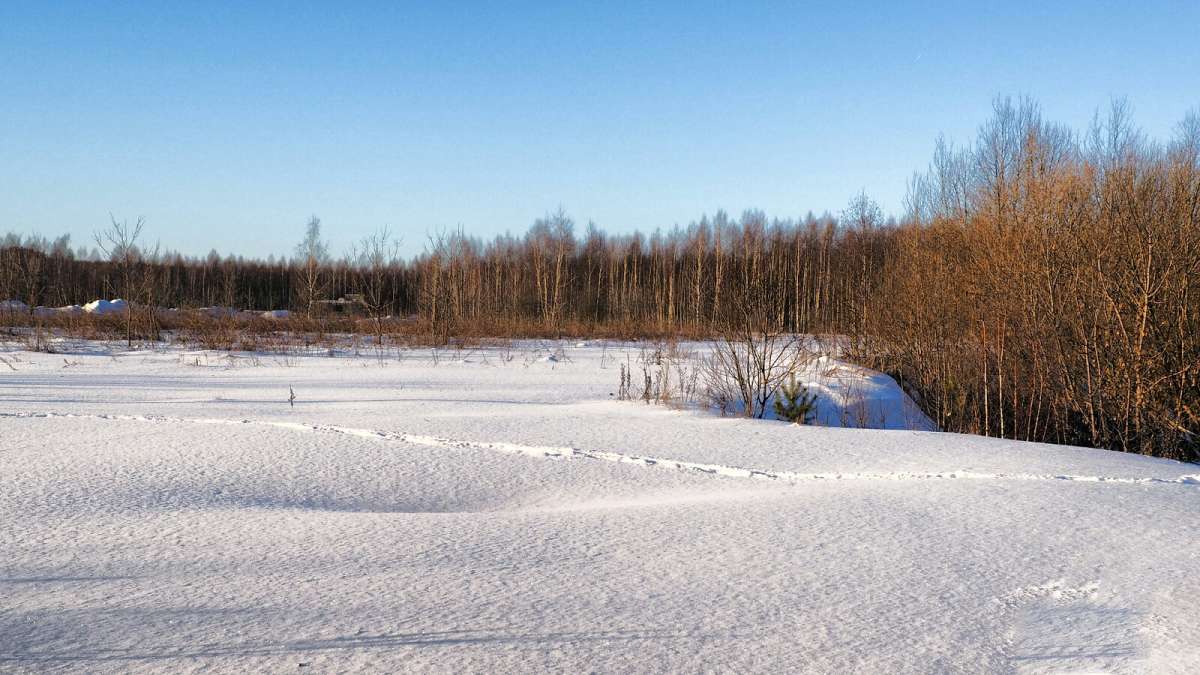 ������ ����� �.�����. ����� �������� �������� �� PhotoGeek.ru #������ ��� �������
