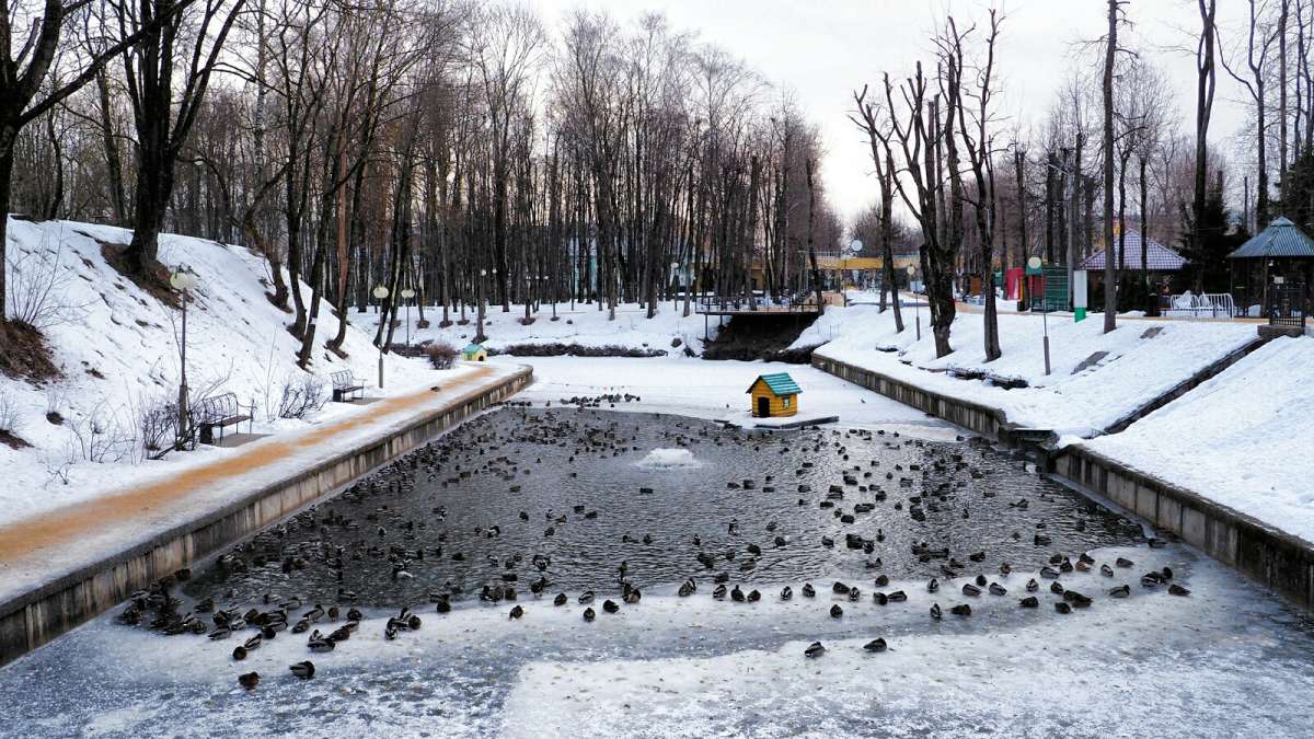 ���� � ��������� ����. ����� �������� �������� �� PhotoGeek.ru #����� #�������� ���