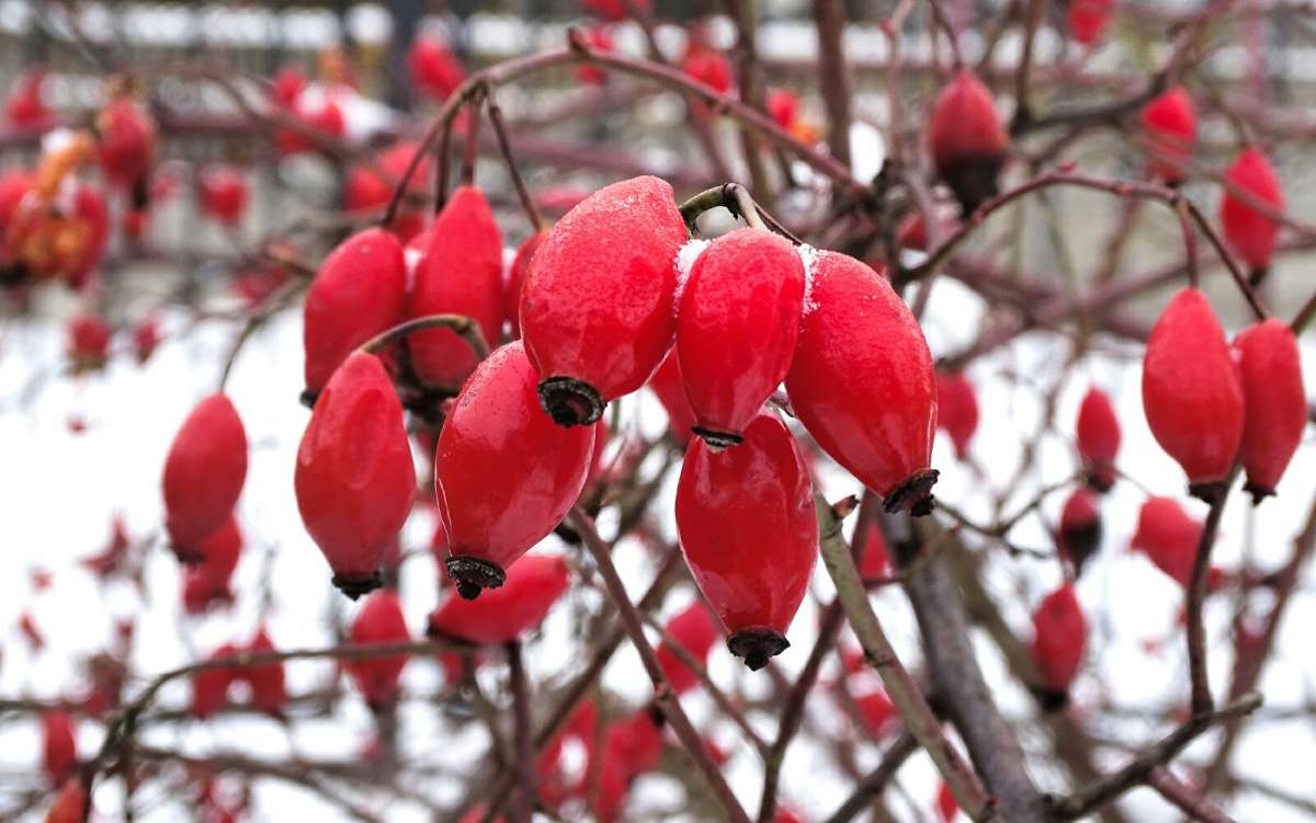 ����� ��������� � ������. ����� �������� �������� �� PhotoGeek.ru #�����