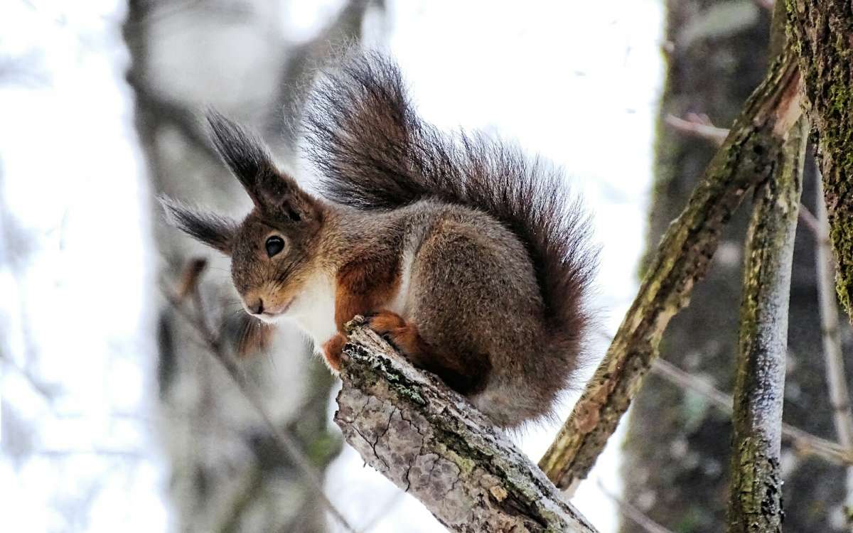 ����� ���������� �����. ����� �������� �������� �� PhotoGeek.ru #�������� ���