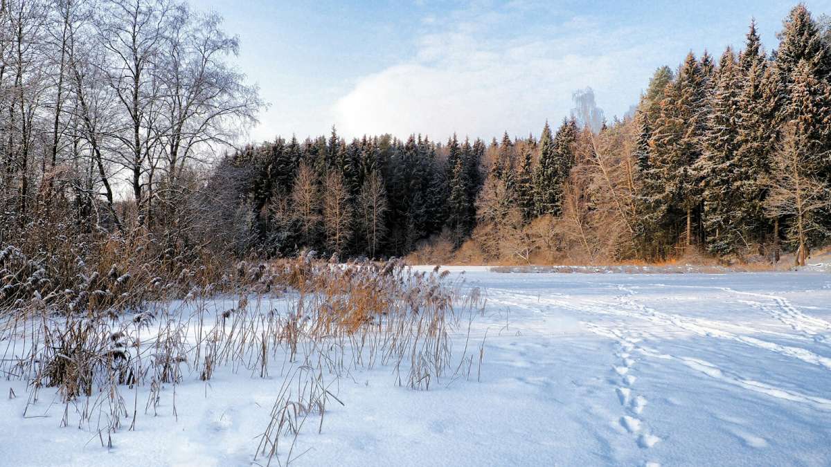 ���������� ����. ����� �������� �������� �� PhotoGeek.ru #������ ��� �������