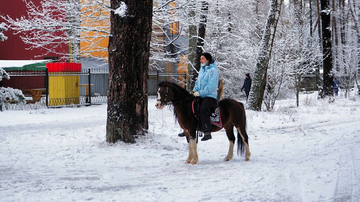 ��������� ������� �������. ����� �������� �������� �� PhotoGeek.ru #�������� ��� #�������� ����������