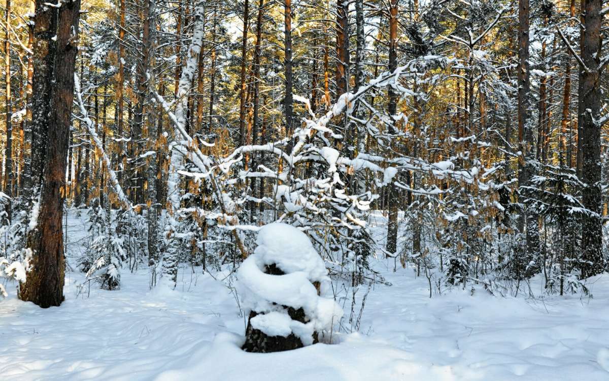 ���������� �������. ����� �������� �������� �� PhotoGeek.ru #������ ��� �������
