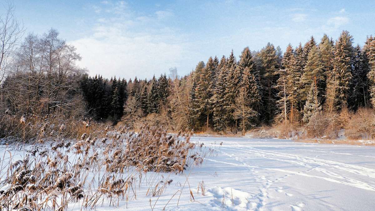 ������ ������. ����� �������� �������� �� PhotoGeek.ru #������ ��� �������