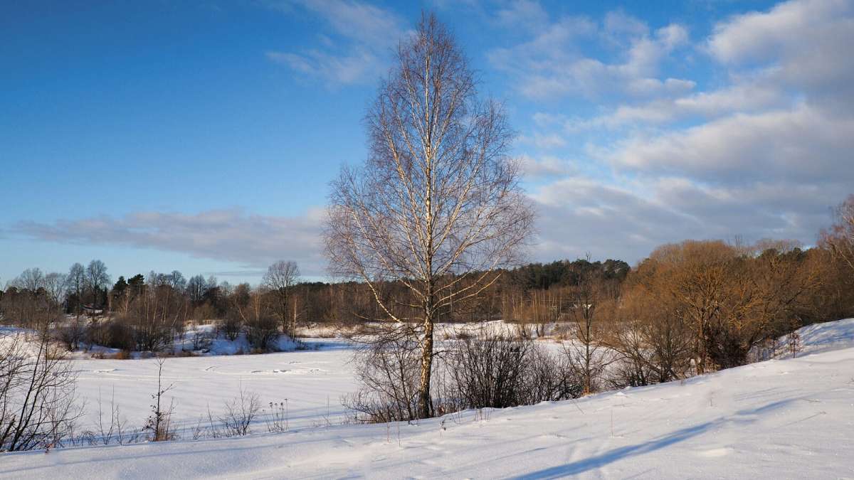 ����. ����� �������� �������� �� PhotoGeek.ru #������ ��� �������