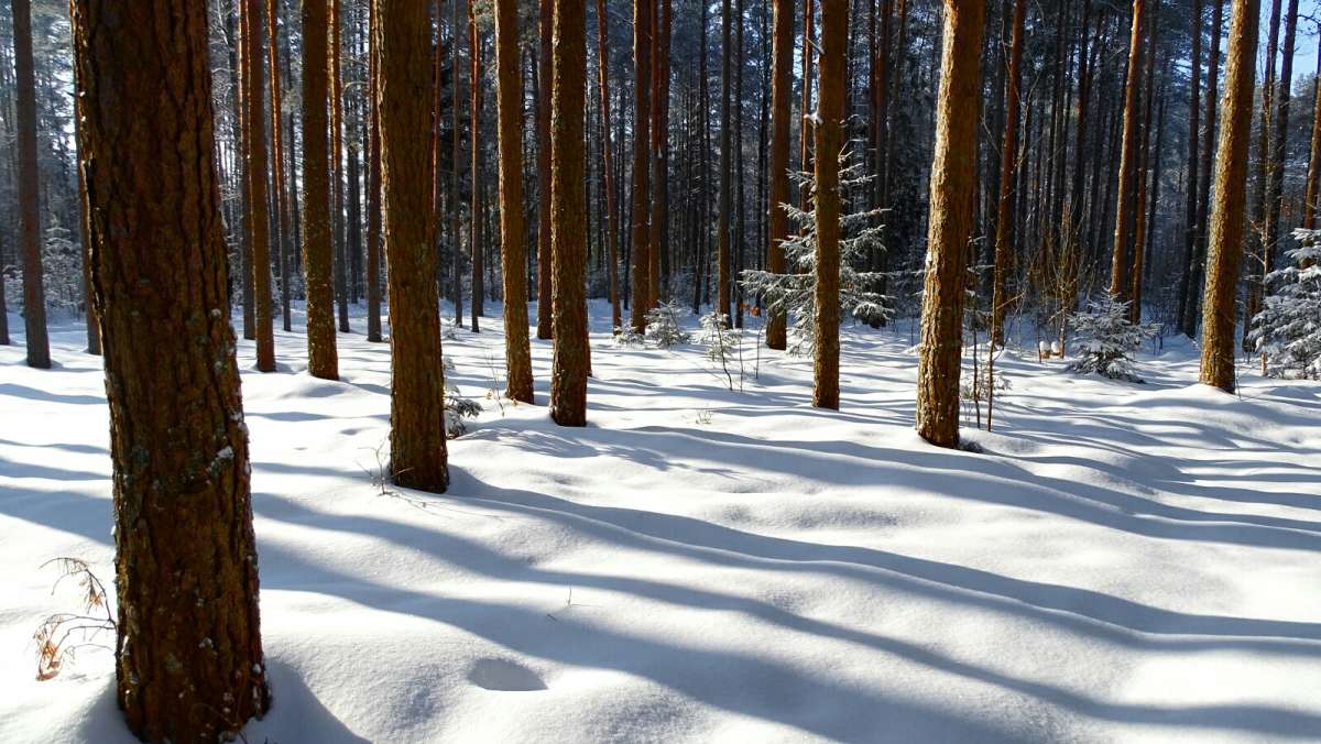 ������� ������� ����. ����� �������� �������� �� PhotoGeek.ru #������ ��� �������