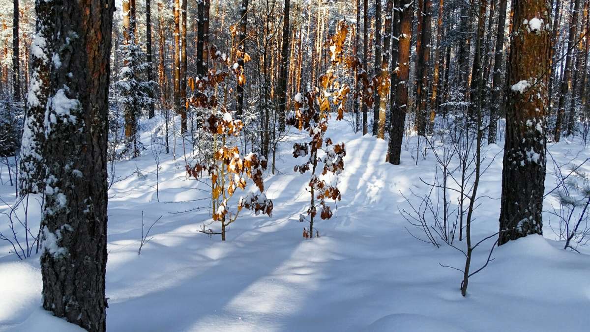 �������  ����� � �������� ����. ����� �������� �������� �� PhotoGeek.ru #������ ��� �������