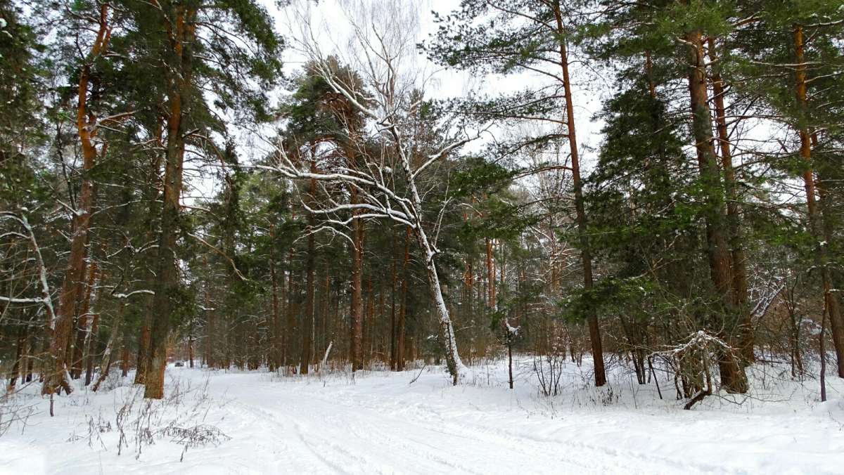 ��� � ������. ����� �������� �������� �� PhotoGeek.ru #������ ��� �������